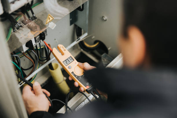 Best Electric Panel Repair  in Mirrormont, WA
